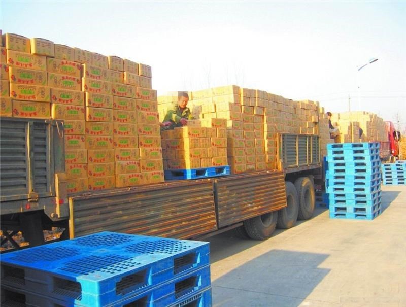 珠海到新民整車貨運專線哪家好