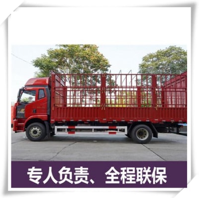 江門到溫州貨運(yùn)公司