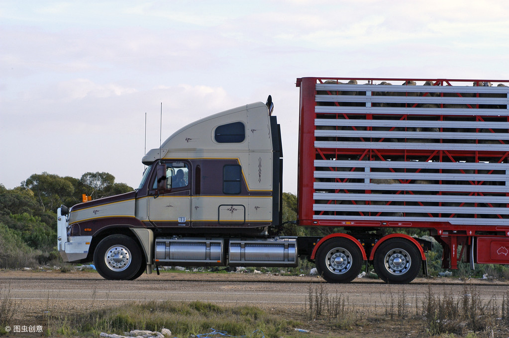 深圳到臨江空車配貨