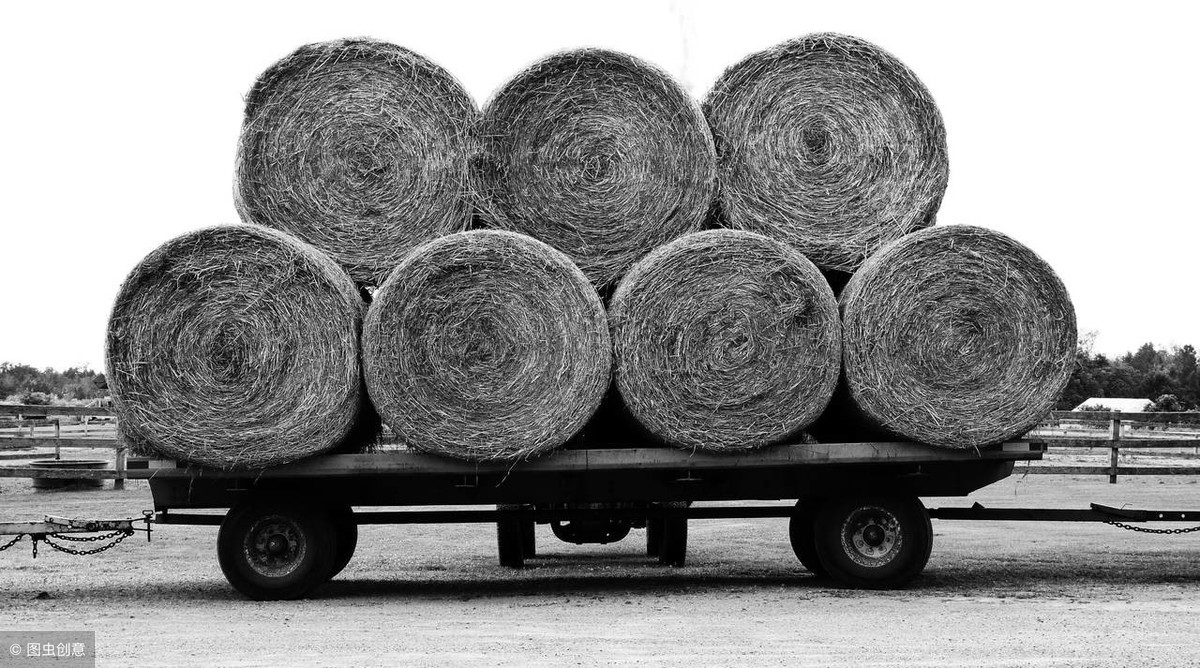 深圳到新鄭整車貨運哪家便宜