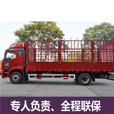 佛山到新竹東區物流專線