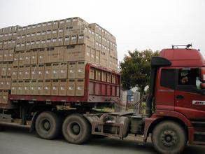 茂名到龍泉市整車貨運包車電話